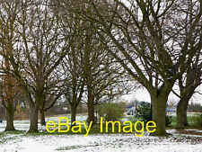 Zdjęcie 6x4 drzewa w parku sąsiedzkim Goodyear, Wolverhampton Fordhouses ok. 2021