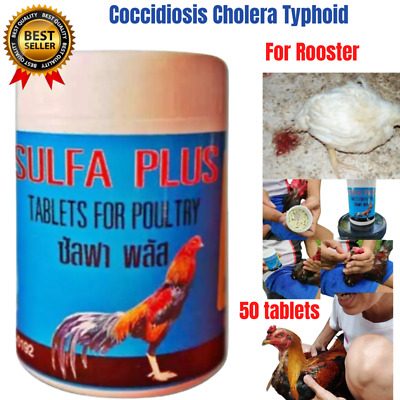 Typhoid Coccidiosis Cholera  Treatment Rooster Chicken Cock Sulfa Plus 50 Tablet • 24.44€