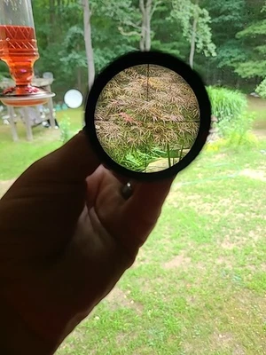 Mira para rifle Baush & Lamb EE. UU. Balfor A de colección retícula cónica CRISTAL TRANSPARENTE Foto 1 de 4