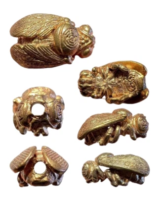 Talismán Amuleto Amuleto Abejorro Dije Tailandés Ajan O Rico Suerte Protección Magia Negra Foto 1 de 4