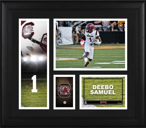 Deebo Samuel South Carolina Gamecocks Framed 15" x 17" Player Collage Cover