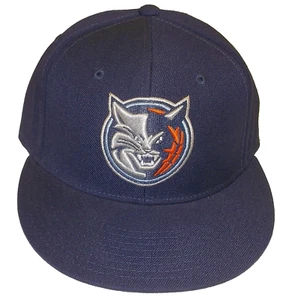 Charlotte Bobcats Flat Brim Fitted Hat Size 7 - Picture 1 of 3