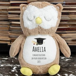 Personalised Graduation Owl Plushie | Graduate Plush Soft Toy Gift | Owl Teddy - Picture 1 of 3