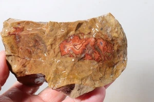 TeePee Canyon Agate 1 lb 8 oz lapidary rough Lot T8 - Picture 1 of 16