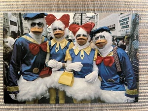 Entenmenschen Kostüme Donald Daisy amerikanische Postkarte 1981 James Joern - Bild 1 von 2