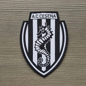 TOPPA A.C CESENA UFFICIALE ricamata calcio Patch SCUDO ricamo Stickerei SOCCER % - Foto 1 di 1