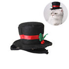 Cat Costume Hat Halloween Accessories for Pets