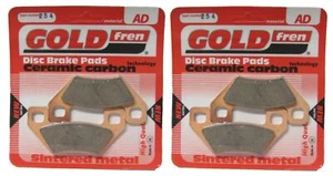 Pastiglie disco freno anteriori Goldfren per Polaris 300 Occhio di Falco (2x4) 2006 - Foto 1 di 1