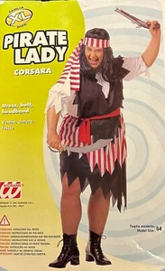 Ladies Swashbuckler Buccaneer Pirate Lady Fancy Dress Costume UK 18-20 - Picture 1 of 1