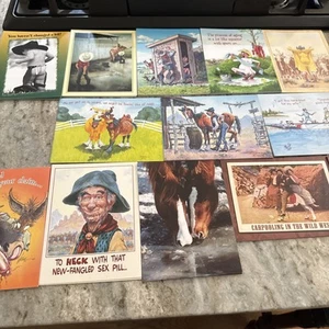 New Leanin Tree Card Lot 49 Cards/40 Envelopes Western Humor Funny Birthday Card - Picture 1 of 18