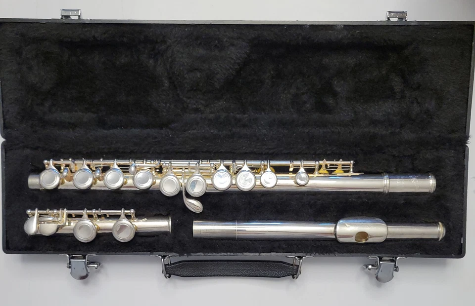 Flauta plateada Giardinelli GFL-300 GFL300 estuche rígido negro probado FL20050316 Foto 1 de 4