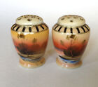 Salt And Pepper Shakers - Hand Painted Tree In The Meadow - Gold Moriage - Japan