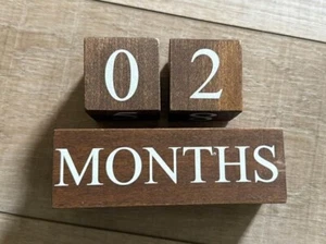 Milestone Wood Blocks - Gender Neutral - Baby Accessory For Photos - Picture 1 of 5