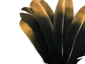 6 Stück Goldspitze metallic weiß "Adlerimitat" Truthahn Flügel runde Feder - Bild 1 von 6