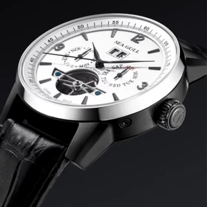 Seagull Men's Watch Automatic Mechanical Watch Luxury Chronograph Watch For Men - Picture 1 of 7