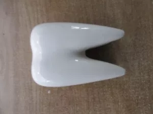 NOVITÀ PORTA SPAZZOLINO BIANCO MOLARE IN SCATOLA NUOVO DENTISTA DESKTIDY? MATITE? - Foto 1 di 4