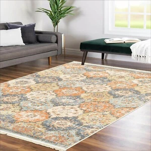 Alfa Rich 3x5 Runner Rug, Ultra-Thin Boho Orange Blue Beige Cream Rug, Non-Slip - Picture 1 of 7