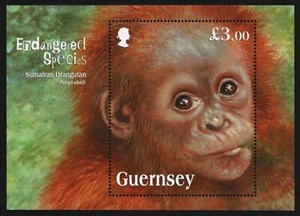 Guernsey 2014 - Mi-N.o Bloque 68 ** - Estampillada sin montar o nunca montada - Vida silvestre / Animales salvajes - Imagen 1 de 1