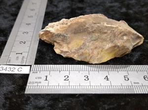 Fossil Holz Rohstein Mineralien Sammlung versteinert Reiki Esoterik Roh - Bild 1 von 3