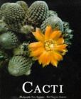Cactus par Cerutti, Vincent