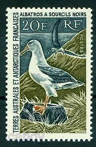 1968 Albatros sopracciglia nere, Albatros, Mollymawk, TAAF, Antartide francese, 41, $550, nuovo di zecca - Foto 1 di 2