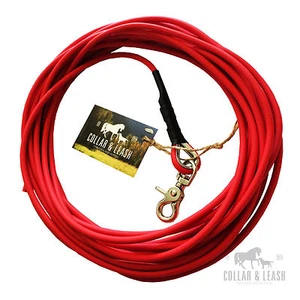 NUEVO*BIOTHANE correa para perro correa para rastreo línea de arrastre 1-15 m alrededor 6 mm rojo - Imagen 1 de 1