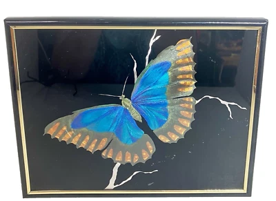 Vintage Butterfly Etching Foil Art by Hand KAFKA Industries Framed Picture 4391 - Image 1 of 4