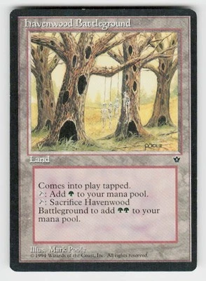 Fallen Empires Havenwood Battleground - Image 1 of 2