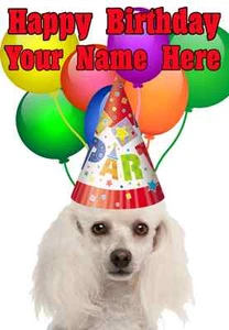 Pudel Happy Birthday PID733 A5 personalisierte Grußkarte PARTY - Bild 1 von 1