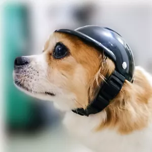 Pequeña Mascota Perro Gato Casco Gorra Exterior Conducción Motocicleta Sombrero de Seguridad Ajustable - Imagen 1 de 12