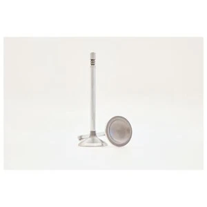 4 pcs/pack Exhaust Valve,Fits,EV-17-2818,CHT-287,07-09 ASPEN,00-11 DAKOTA, - Picture 1 of 1