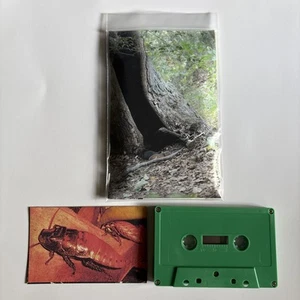 Phyllomedusa / Asleep In The Lake – Spruce Of Tomb Cassette Sloth Clatter Media - Imagen 1 de 2