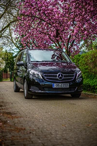 Mercedes VW T6 8 Sitzer Multivan Van Bus Urlaub Transporter mieten vermietung - Bild 1 von 8