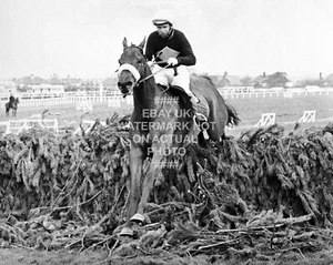 1973 RED RUM BRIAN FLETCHER GRAND NATIONAL AINTREE PHOTO HORSE RACING - Picture 1 of 1