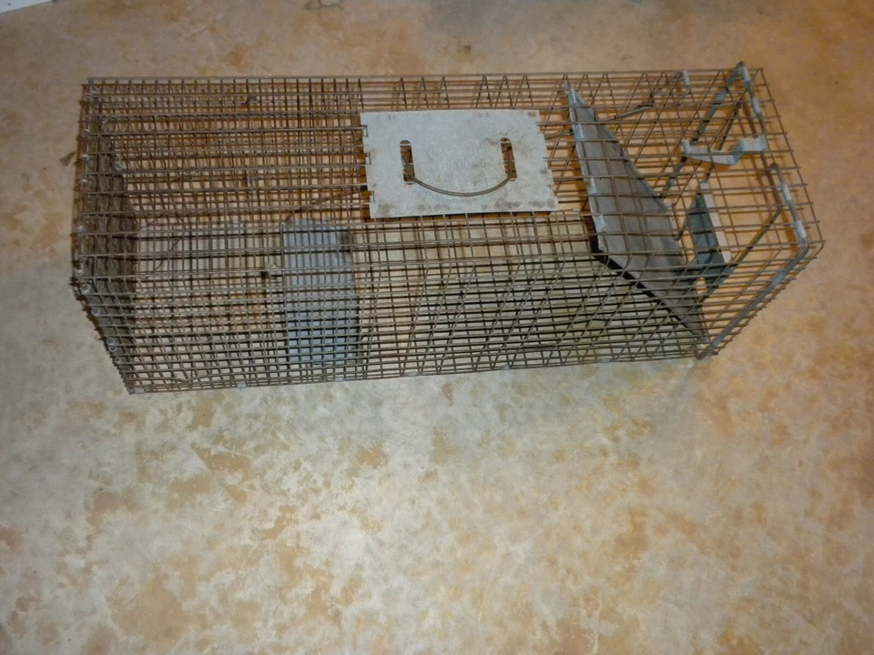 Trampa de captura y liberación humana animal vivo Havahart medidas externas 32" x 12" x 11" Foto 1 de 4
