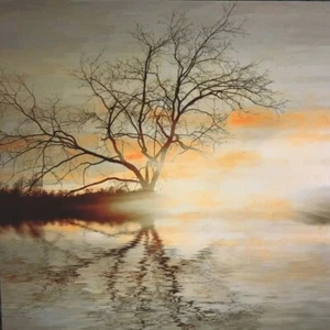 Wall Art Canvas Wall Hanging Tree on Water Sunset Reflection 80x80cm NEW (K) - Picture 1 of 5