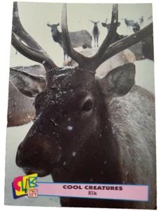 1992 Club Pro Set Cool Creatures #7 Elk Trading Card Animals (G9 - Picture 1 of 2