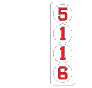 Address Street numbers for your house RED SOX 3D 4 inch FENWAY BOSTON Celtics - Picture 1 of 19