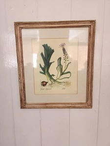 Framed Vintage Horticultural Print, Leaks & Grape Nyacinth, Kitchen/Home Decor - Picture 1 of 1