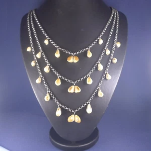 Único collar de dientes de ciervo bávaro alemán de plata esterlina dientes de caza antiguos - Imagen 1 de 7