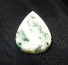 Natural Egl Certified Tree Agate Mixed Shape Cabochon Loose Gemstone