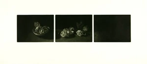 JUDITH ROTHCHILD b1950 Chinese Lanterns - Picture 1 of 1