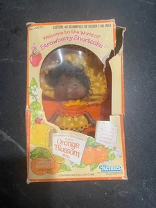 1982 Kenner Strawberry Shortcake ORANGENBLÜTE mit Marmelade in Box - Bild 1 von 5