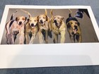 Foxhound Print. Hunting 