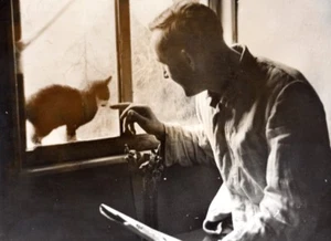 Deutschland ? WWII Katzenbesuch am Fenster eines Bunkers altes Pressefoto 1943 - Bild 1 von 4