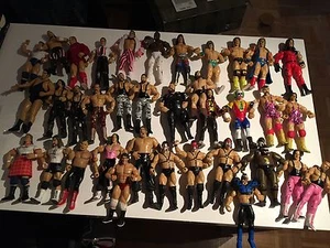 WWE Jakks Figuren von Hart Demolition Steiner Bushwackers Warrior Wrestling - Imagen 1 de 40