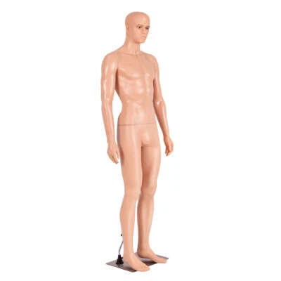 Full Body Mannequin Torso Manikin 184 cm Realistic Male Shop Window Display