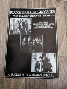 Bucketfull of Brains- FLAMIN' GROOVES Story Special & Flexi Disc - Bild 1 von 12