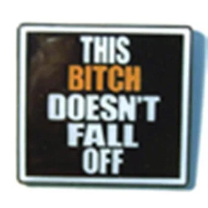 BITCH DOESN'T FALL OFF HAT OR JACKET PIN pin#514 new jacket lapel metal bitches - Picture 1 of 1