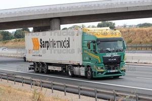 LKW Foto MAN TGX Container-Sattelauflieger Bulgarien grün GARTNER THE WOR #k9fi - Bild 1 von 1